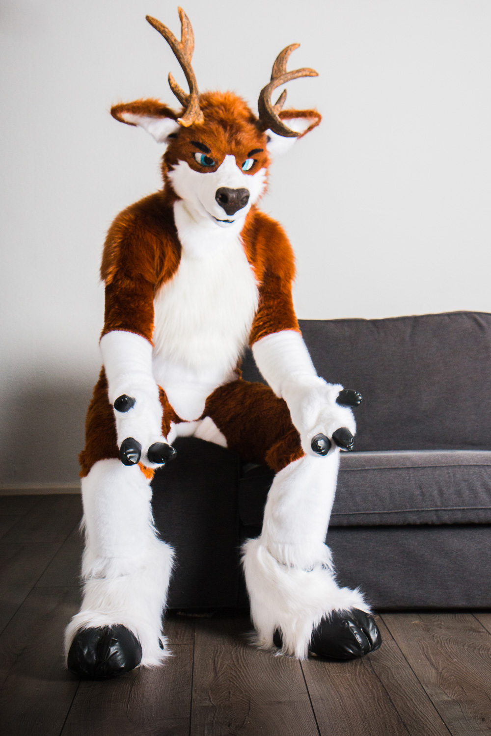 Privacy Policy For Website >> WildSpotWorks - Fursuit Gallery of Noweti the Deer Privacy Policy For Website >> WildSpotWorks - Fursuit Gallery of Noweti the Deer